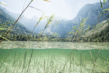 Langbathsee in Ebensee, (c)  Oberoesterreich Tourismus Gmbh, Robert Maybach