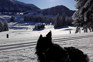 Winterwandern und Langlaufen auf der Postalm