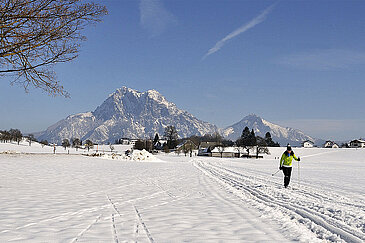 Langlaufen am schönen Traunsee, (c) TVB Traunsee-Almtal/brainpark.traunsee