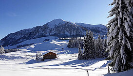 Sonnige Aussichten auf der Postalm