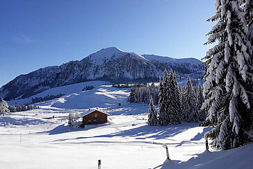 Sonnige Aussichten auf der Postalm