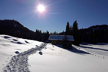 Postalm bei Sonnenschein