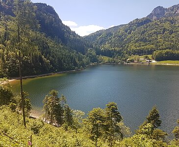 Blick vom Radweg auf den Schwarzensee