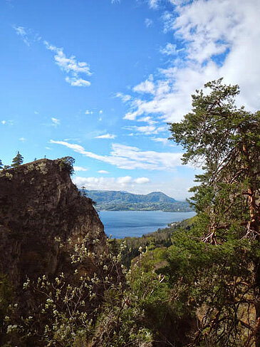 Kaltenbachwildnis, © Lisa Loderbauer, MTV Ferienregion Traunsee 