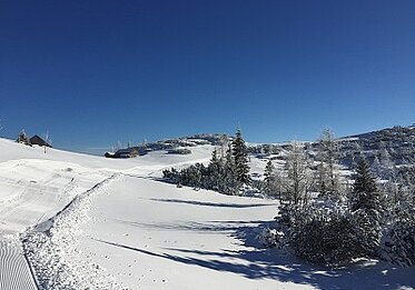 Vorderes Edeltal Richung Kranabethhütte