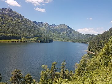 Blick auf den Schwarzensee