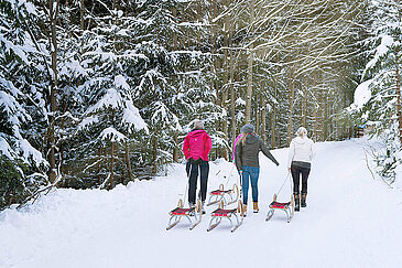 Naturrodelbahn Hochsteinalm, (c) www.traunseehotels.at