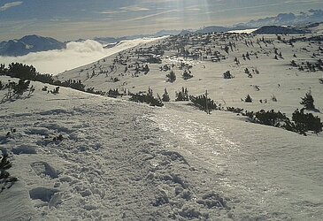 Schneeschuhwandern über der Nebelgrenze