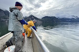 Das Netz wird von Hand eingezogen