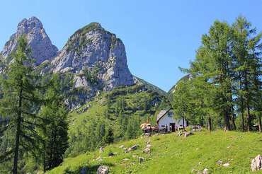 Ebenseer Hochkogelhaus | © Naturfreunde Ebensee | Beschreibung: "im Hintergrund sieht man den Vorderen und Hinteren Rauhenkogel, wo der Klettersteig verläuft"