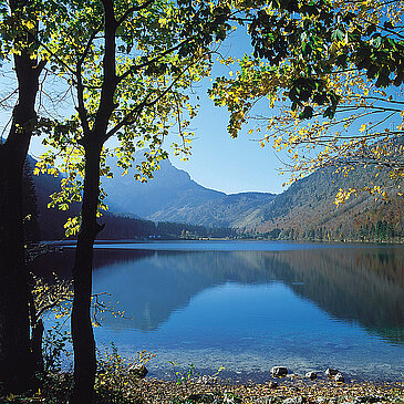 Frühlingsstimmung am Langbathsee, (c)  Oberösterreich Tourismus GmbH_Brigitte Schwager