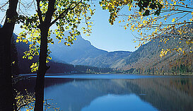 Frühlingsstimmung am Langbathsee, (c)  Oberösterreich Tourismus GmbH_Brigitte Schwager