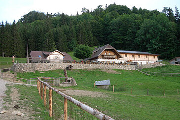 Hochsteinalm | © Oberösterreich Tourismus / green-solutions