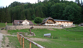 Hochsteinalm | © Oberösterreich Tourismus / green-solutions