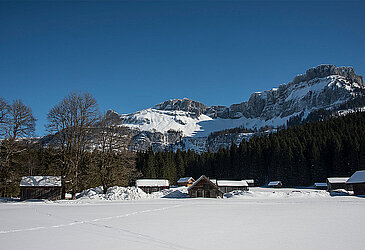 Langlaufen auf der Blaa Alm, (c) STMG, Wolfgang Stadler